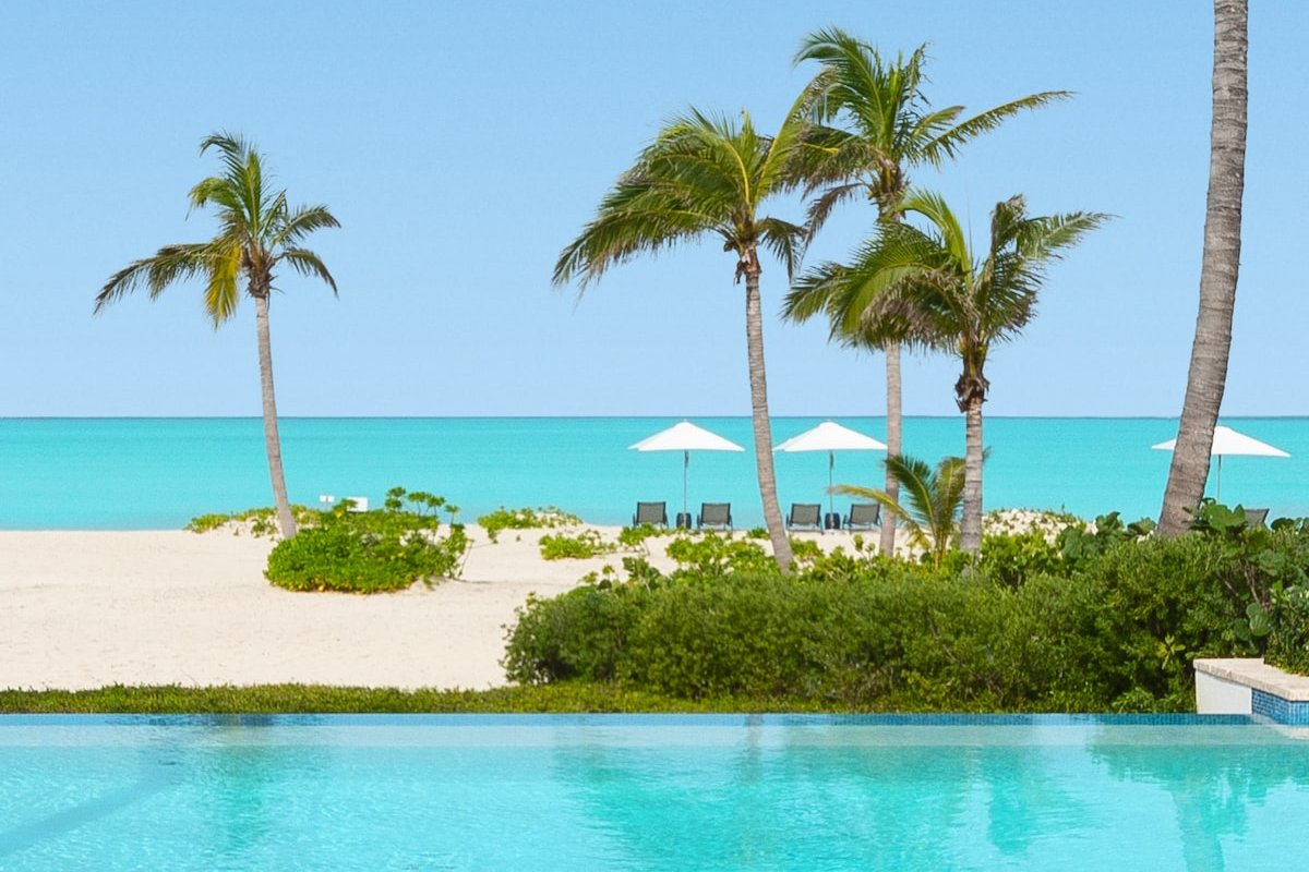 Hawksbill gallery image 2