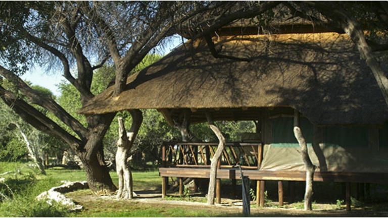 Edo's Camp photo